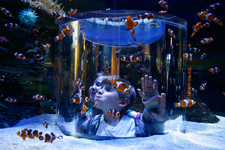 Two Oceans Aquarium